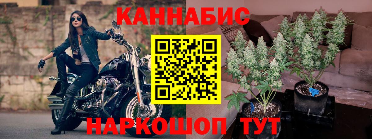 Шишки марихуана Amnesia Отрадное